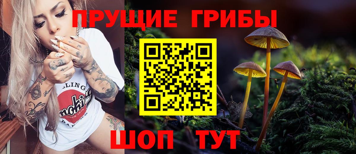 Псилоцибиновые грибы Magic Shrooms  Псилоцибиновые грибы Psilocybine cubensis  где купить наркоту  Южноуральск  Вход с VPN 